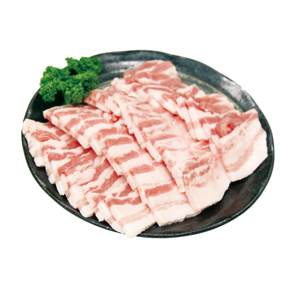 宮崎の自然が育てた、カラダよろこぶフレッシュポーク「日南もち豚」。SPF(Specific Pathogen Free)とは、あらかじめ指定された病原体を持たないという意味です。生産現場で高度な衛生管理をすることで、臭みがなく、軟らかくて美味しい豚肉生産を可能にしました。■配送不可地域：北海道・沖縄・離島は配送不可■温度帯：冷凍■原材料名／食品添加物：豚肉(宮崎県産)■保存方法：要冷凍（-18°C以下）で保存■賞味期限：出荷日より90日■規格：500g■サイズ(mm)：280×225×85