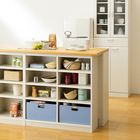 送料無料 フリーラック 収納棚 幅59cm カウンター下収納 整理棚 ミニラック ラック 本棚 カラーボックス 収納ボックス 収納ラック 押入れ収納 タナリオ リビング収納 スリム コンパクト 収納ケース ホワイト 白 木目 シンプル おしゃれ