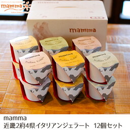 【奈良 テンダーボックス】 近畿2府4県ご当地 イタリアンジェラート 6種セット mamma 100ml×12 12人前 お取り寄せグルメ スイーツ デザート アイス 丹波黒豆 宇治抹茶 メロン いちご みかん バレンタイン 母の日 父の日 お中元 誕生日 ギフト 送料無料 産地直送 kinki-12