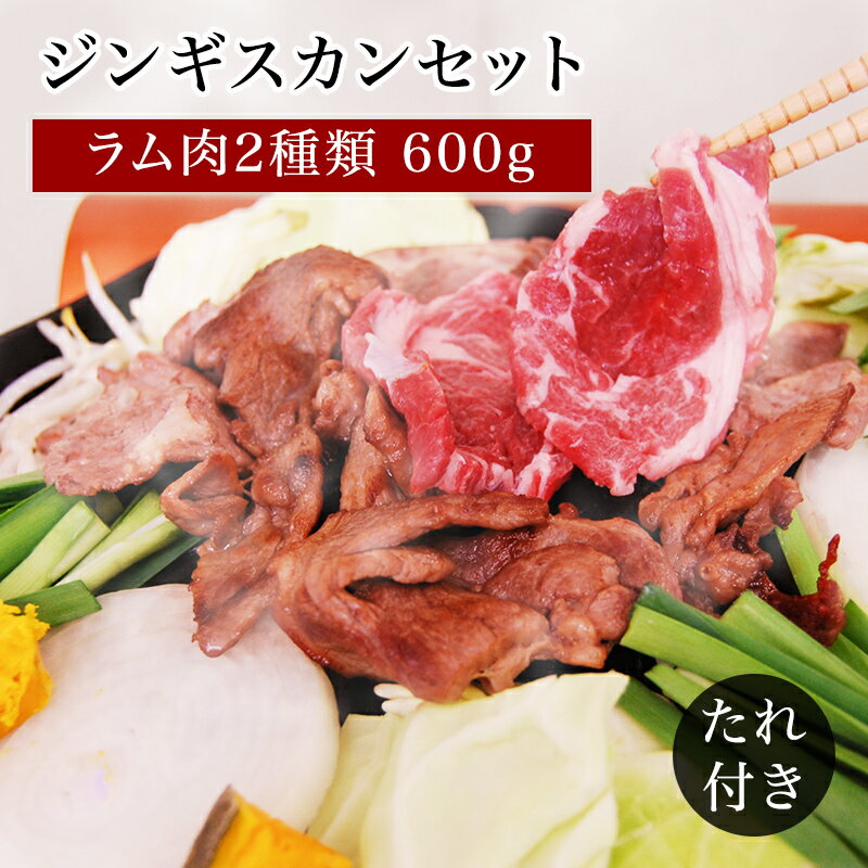 【北海道 中水食品工業】 北海道のジンギスカンセット ラム肉2種入り タレ付き 冷凍 4〜6人前 ラ ...