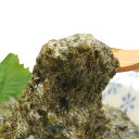 北海道 中水食品工業 冷凍 函館ねばり三海藻 タレ付き 5袋 函館前浜産 真昆布 昆布 がごめ アカモク ぎばさ 産地直送 送料無料 第25回大日本水産会会長賞...