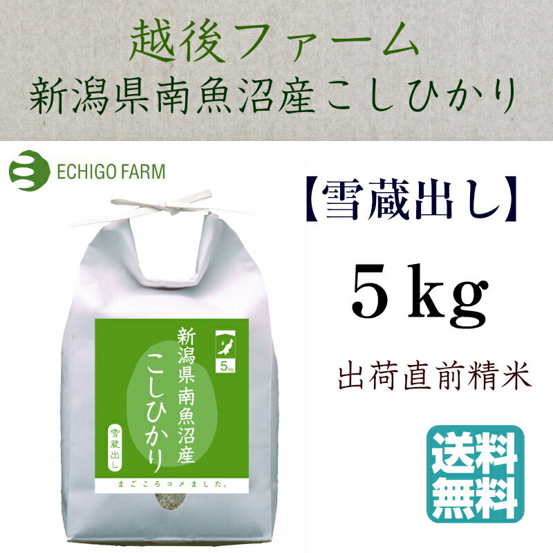 【越後ファーム】 常温 新潟県南魚沼産こしひかり 5kg E-K5 コシヒカリ 雪蔵...