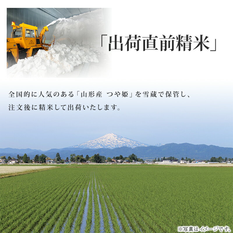 【新潟 越後ファーム】【出荷直前精米】 常温 産地直送 雪蔵貯蔵 特別栽培米 山形県産つや姫 20kg （5kg×4） 今摺り米 お取り寄せグルメ 母の日 父の日 お中元 お歳暮 内祝 御祝 ギフト プレゼント 米穀専門店 送料無料 E-T20 美味しいお米 白米