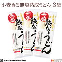 【宮城 はたけなか製麺】 【3袋】 【無塩】 小麦香る無塩熟成うどん 270g×3袋 約6~9人前 北海道産小麦100%使用 東北大学産学連携開発品 食塩不使用 減塩 美味しい無塩麺 饂飩 鍋 お取り寄せグルメ 母の日 父の日 敬老の日 お中元 お歳暮 ギフト 自宅用 送料無料