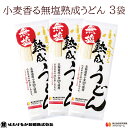 【宮城 はたけなか製麺】 【無塩】 【3袋】 小麦香る無塩熟成うどん 270g×3袋 約6〜9人前 食塩不使用 減塩食生活 麺 乾麺 饂飩 鍋にそ..