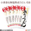 【宮城 はたけなか製麺】 【6袋】 【無塩】 小麦香る無塩熟成うどん 270g×6袋 約12~15人前 北海道産小麦100%使用 東北大学産学連携開発品 食塩不使用 減塩 美味しい無塩麺 饂飩 鍋 お取り寄せグルメ 母の日 父の日 敬老の日 お中元 お歳暮 ギフト 自宅用 送料無料
