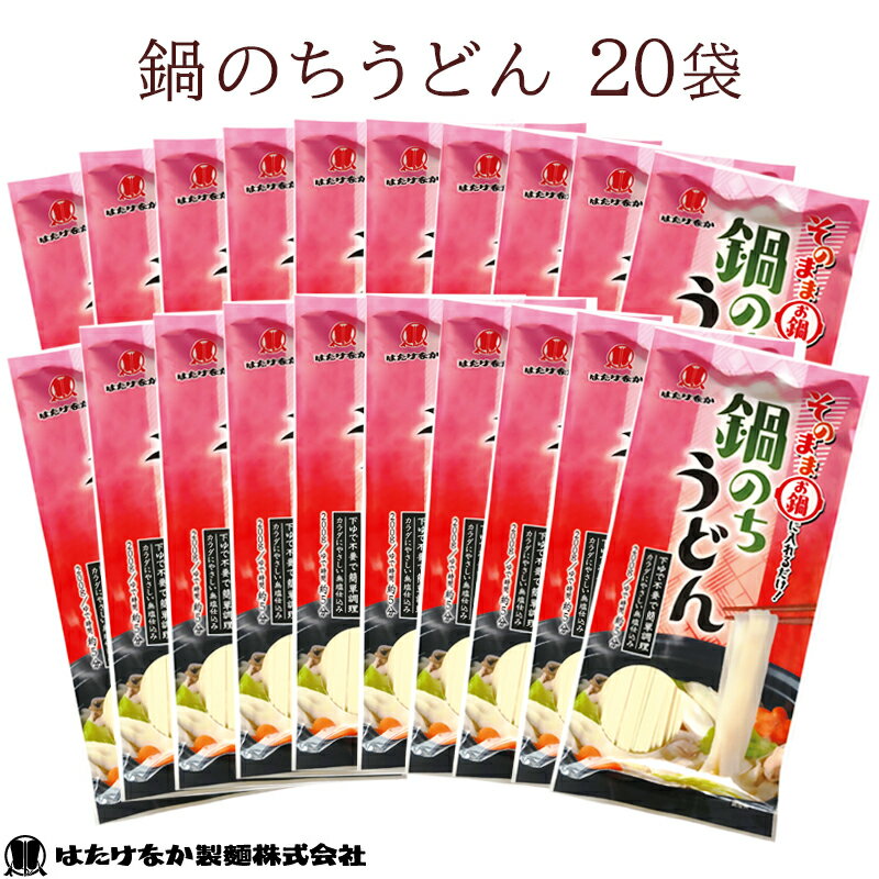 【宮城 はたけなか製麺】 【無塩】 鍋のちうどん 200g×20袋 約40人前 東北大学産学連携開発商品 そのまま鍋に入れるだけ 鍋の〆に 夏鍋 下茹で不要 食塩不使用 減塩食生活 北海道産小麦ブレンド お取り寄せグルメ 饂飩 乾麺 平麺 くっつきにくい麺 ギフト 送料無料 常温保存