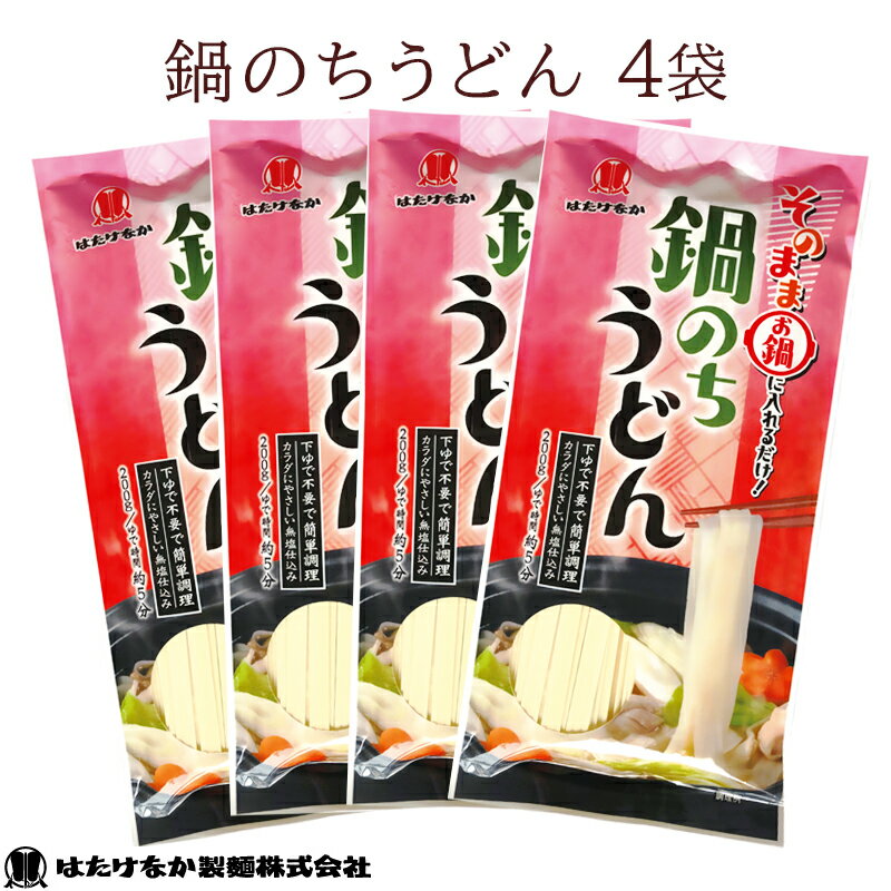   鍋のちうどん 200g×4袋 約8人前 下ゆで不要 食塩不使用 減塩食生活 鍋にそのまま入れるだけ くっつきにくい麺 饂飩 乾麺 平麺 鍋うどん カレーうどん ギフト 送料無料 常温保存可 北海道産小麦使用 東北大学産学連携開発商品 ネコポス