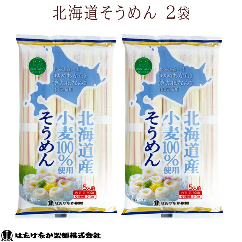 【宮城 はたけなか製麺】 【2袋入り】 北海道そうめん 500g×2袋 約10人前 お取り寄せグルメ 北海道産小麦100％使用 ブランド小麦使用 きたほなみ ゆめちから 乾麺 干しめん 素麺 冷や素麺 流し素麺 サラダ素麺 にゅうめん 冷温OK 自宅療養 常温保存 送料無料 お試しパックのサムネイル