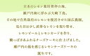 【滋賀 香のか】 しまなみレモンチーズケーキ 5号 5〜6人前 女性に大人気 スイーツ 瀬戸内 自然栽培レモン バレンタインデー ホワイトデー 母の日 父の日 誕生日 ギフト かのか 保存料不使用 フランス産濃厚クリームチーズ使用 冷蔵配送 産地直送 完全受注生産 送料無料 3