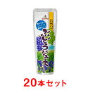 【ゴールドパック】 【1箱】 国産 信州のぶどう 100％果汁ジュース 加糖 80g×20本 パウチ 凍らせてシャーベット アイス フルーツジュース ドリンク 飲料 果実 コンコード ナイアガラ 葡萄 グレープ お中元 ギフト まとめ買い 送料無料 夏季限定 常温保存 2024年の商品画像