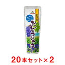 【ゴールドパック】 【2箱】 国産 信州のぶどう 100％果汁ジュース 加糖 80g×40本 パウチ ...