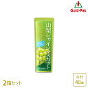 【ゴールドパック】 【2箱】 山梨シャインマスカット 80g×40本 NIPPONフルーツバー 果汁10%未満 パウチ 凍らせてシャーベット アイス アイスキャ...