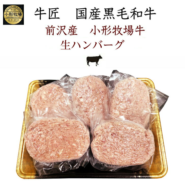 【岩手 牛匠 小形牧場牛】 前沢産黒毛和牛 牛肉ハンバーグ 特製ソース付き 5人前 冷凍 150g 5 母の日 父の日 敬老の日 お中元 お歳暮 誕生日 お祝い ギフト 冷凍プロトン凍結 牛肉 肉 ご馳走 …