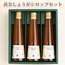 【はるのTERRACE】 常温 黄金しょうがシロップセット 195ml 3本 高知県お取り寄せグルメ お中元 お歳暮 ギフト 送料込