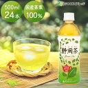 【最短当日出荷】 ミツウロコビバレッジ 通常ラベル 静岡茶 500ml×24本 1ケース 国産茶葉 お茶 緑茶 煎茶 ドリンク 飲料 ペットボトル お取り寄せグルメ ギフト 自宅用 会議用 来客用 最強翌日配送 全国配送 送料無料 コールド専用品