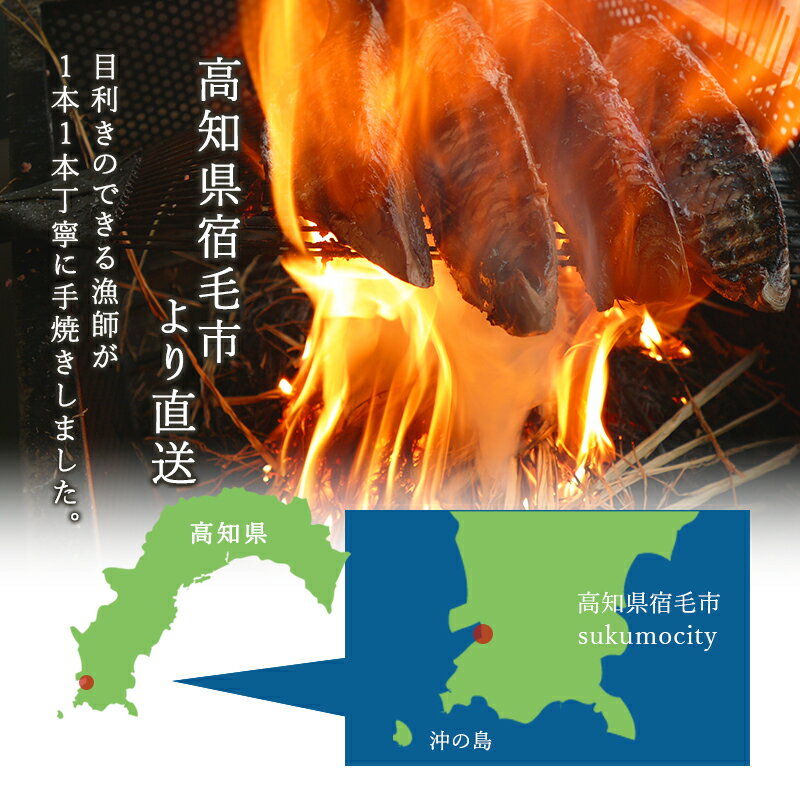 【土佐高知 沖の島水産】 うまい！ かつお藁焼きたたき 2本セット （中サイズ） 冷凍 約300g×2節 特製ぽん酢付き 天日塩付き 手焼き わら焼き ポン酢 カツオ 鰹 刺身 柵 流水解凍 お取り寄せグルメ 母の日 父の日 敬老の日 誕生日 お中元 お歳暮 ギフト 送料無料 新商品 2