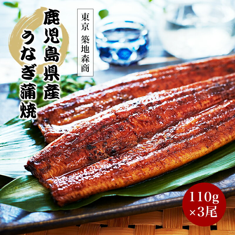【東京 築地森商】冷凍 国産 鹿児島県産 うなぎ蒲焼 110g×3尾 特製ダレ お取り寄せグルメ 母の日 父の日 敬老の日 お中元 お歳暮 誕生日 ギフト うなぎ ウナギ 鰻 蒲焼き おおさき町鰻加工組合 天然地下水育ち 真空パック 築地魚問屋の目利き 送料無料 TM-unagi3