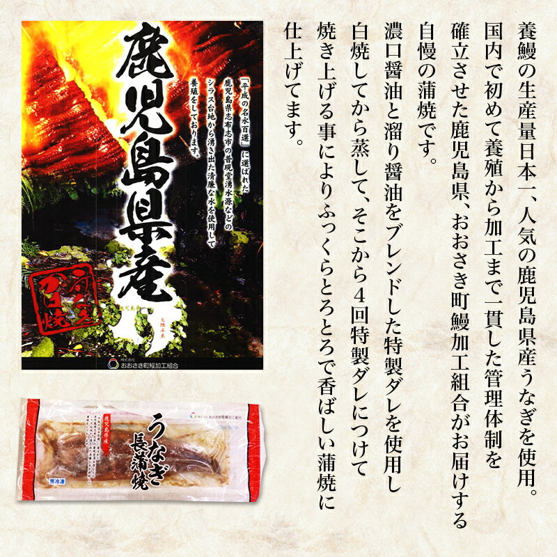 【東京 築地森商】冷凍 国産 鹿児島県産 うなぎ蒲焼 110g×3尾 特製ダレ お取り寄せグルメ 母の日 父の日 敬老の日 お中元 お歳暮 誕生日 ギフト うなぎ ウナギ 鰻 蒲焼き おおさき町鰻加工組合 天然地下水育ち 真空パック 築地魚問屋の目利き 送料無料 TM-unagi3