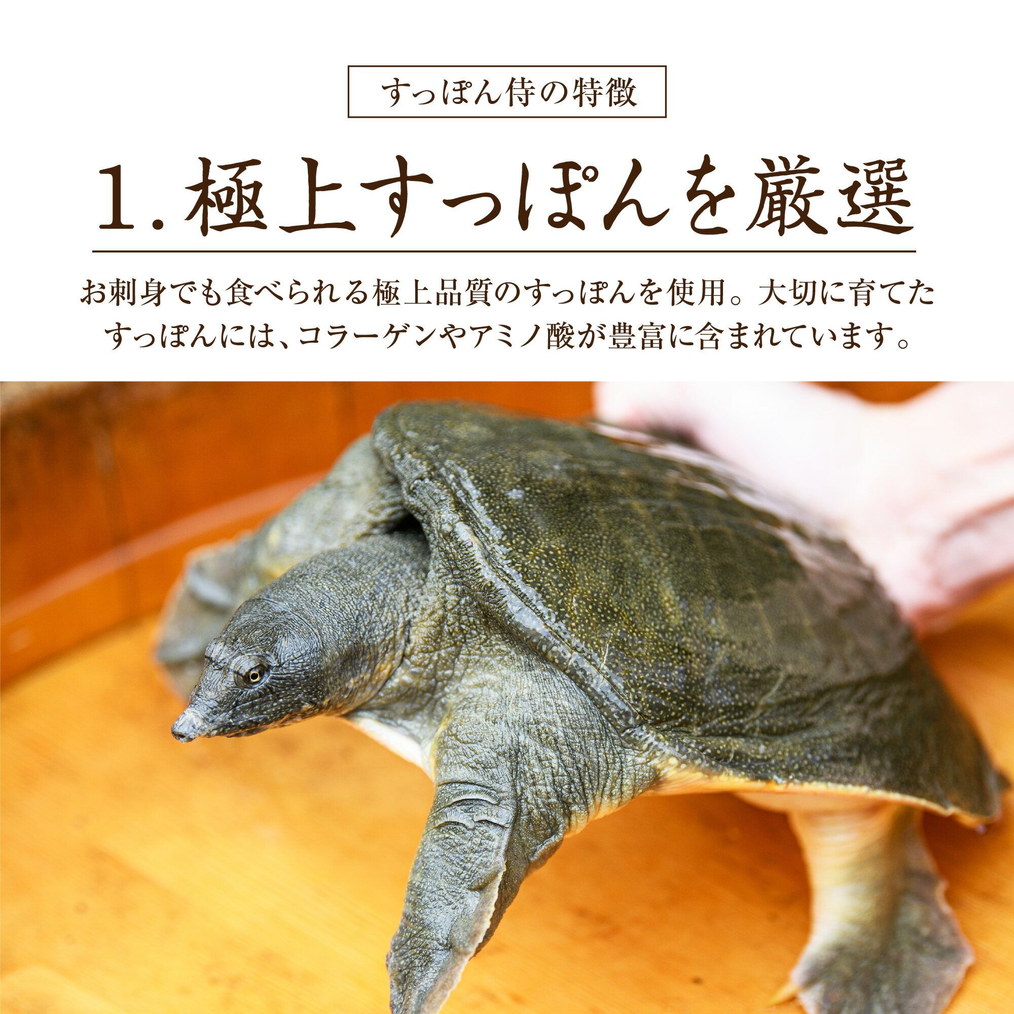 【公式】すっぽん侍 1袋62粒入り(約1か月分) すっぽん マカ 亜鉛 グルコン酸 アミノ酸 サプリ サプリメント 国産 朝 目覚め 活力 男性 20代 30代 40代 50代 60代 おすすめ スッポン 1ヶ月 お試し 料亭やまさ 送料無料 - Image 3