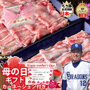 母の日 大山豚 ロールステーキ 80g 8個 誕生日プレゼント セット ギフト 氷温熟成 内祝い お返し 豚肉 出産 結婚 男性 女性 30代 40代 50代 60代 70代 早割 食べ物 人気 高級 子供 父親 母親 祖父 祖母 贈り物 お礼 冷凍 鳥取 山陰 取り寄せ 還暦 古希 喜寿 傘寿 米寿 2024