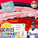 豚バラ 500g×2 1kg 特製 ピリ辛タレ 320×2 640g 6~8人前 秘伝 タレ 国産 厚切り 豚肉 バラ もち豚 簡単 豚肉 定番 焼肉 料理 冷凍 韓国料理 韓国 韓国グルメ ギフト 母の日 お取り寄せ グルメ 父の日 お中元 お歳暮 誕生日 内祝