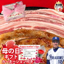 【サムギョプサル】豚バラ 500g×2個 1kg 特製 しょうゆダレ 320g×2個 640g 6~8人前 秘伝 タレ 国産 厚切り 豚肉 バラ もち豚 簡単 豚肉 定番 焼肉 冷凍 韓国料理 韓国グルメ ギフト 母の日 お取り寄せ グルメ 父の日 お中元 お歳暮 誕生日 内祝い【ハンサラン】