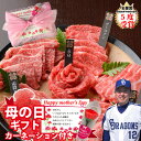 【 仙台牛 焼肉 食べ比べ セット】500g 250×2 仙台牛最高級 焼肉セット 盛り合わせ 国産 牛 ギフト お取り寄せ グルメ お中元 母の日 お歳暮 父の日ギフト 誕生日 内祝い お返し 結婚祝い 記念日 お祝い 贈答品 PR MS【もつ鍋真】