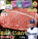 1.2kg 300g×4セット 最高級 A5 ランク 贅沢 焼肉 牛肉 黒毛和牛 和牛 バーベキュー 最高級 ステーキ ギフト プレゼント グルメ 贈り物 お取り寄せ お中元 母の日 お歳暮 父の日 ギフト 誕生日 内祝い お返し 結婚祝い PR 