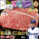 3kg 300g×10セット 最高級 A5 ランク 贅沢 焼肉 牛肉 黒毛和牛 和牛 バーベキュー 最高級 ステーキ ギフト プレゼント グルメ 贈り物 お取り寄せ お中元 母の日 お歳暮 父の日 ギフト 誕生日 内祝い お返し 結婚祝い PR MS