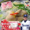 鶏1/2半羽 スープ 約1.2kg 野菜 約350g カルグクス 韓国うどん 150g 特製タレ 5種 国産 丸鶏 鶏肉 白菜 トッポギ ニラ 新鮮 野菜 韓国料理 韓国 韓国グルメ ギフト 父の日 お中元 お取り寄せ グルメ 父の日 お中元 お歳暮 誕生日 内祝い