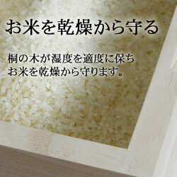 日本製米びつ桐無地5kg1合升すり切り棒付こめびつ桐製手作りライスストッカーシンプルおしゃれ升【白5升】
