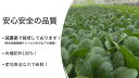 奈良県産　小松菜　200g　有機栽培　オーガニック　ORGANIC　コマツナ　こまつな　冷蔵便　クール便　葉物野菜　葉もの　野菜　産地直送