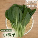 奈良県産 小松菜 2kg コマツナ こまつな 業務用 冷蔵便 クール便 葉物野菜 葉もの 野菜 国産 減農薬 朝採り