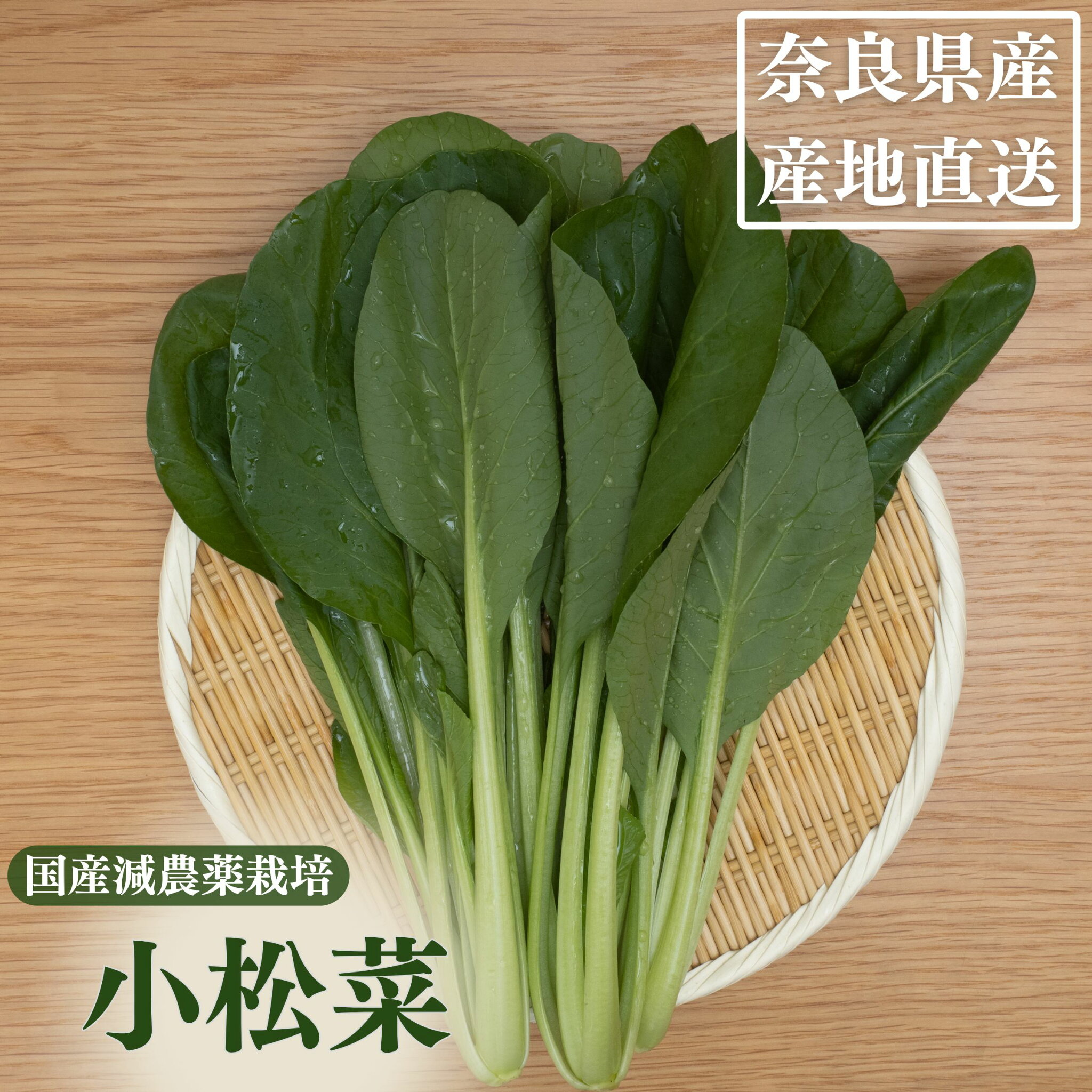 奈良県産 小松菜 1kg コマツナ こまつな 業務用 送料無料 冷蔵便 クール便 葉物野菜 葉もの 野菜 国産 減農薬 朝採り