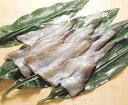 【季節限定 冬食材】ノースイ)ハゼ開き　600g(30尾入)＜10-2月＞(冷凍食品 はぜ 魚 鍋食材 海鮮)