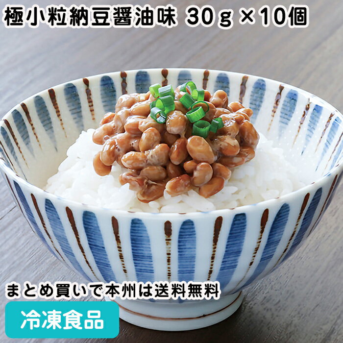 極小粒納豆醤油味　30g×10個 26821(冷凍食品 業務用 おかず お弁当 小袋 惣菜 なっとう ナットウ ナットウ 和食一品 業務用ネットNatto)