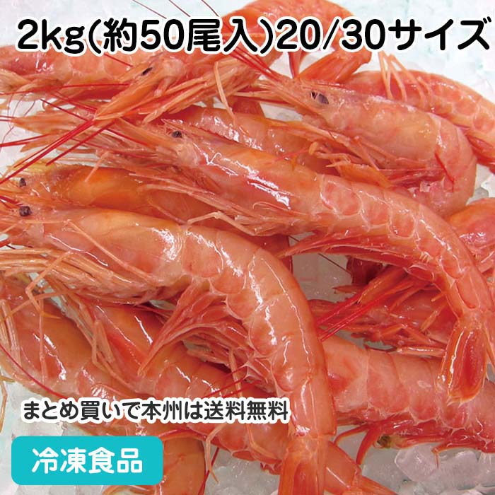 アルゼンチン赤海老 2kg(約50尾入)20/30サイズ 12247(冷凍食品 業務用 おかず お弁当 生食可 えび 魚介 シーフード)