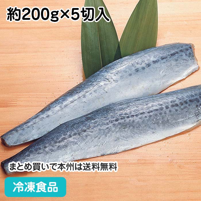 サゴシフィーレ 約200g×5切入 144015(冷凍食品 業務用 おかず お弁当 焼物 フライ 魚魚介 シーフード)