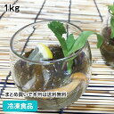 わさびもずく 1kg 19215(冷凍食品 業務用 おかず お弁当 モズク のずく酢 珍味 惣菜 一品 小鉢)