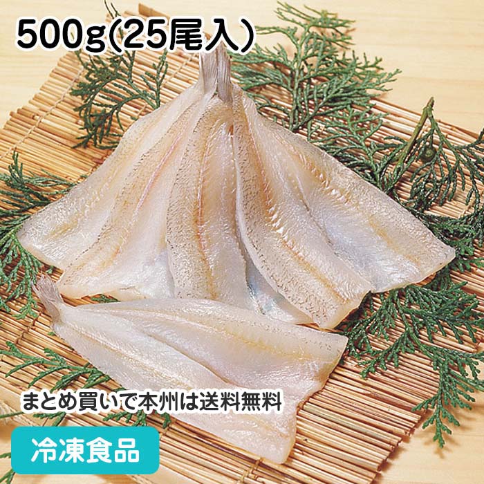 開ききす 500g(25尾入) 20360(冷凍食品 業務用 おかず お弁当 天ぷら フライ 魚魚介 シーフード)