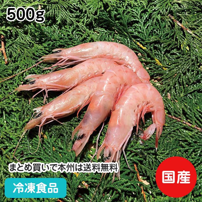 生食用 ヒゲナガエビ (ガスエビ) 500g 20871(冷