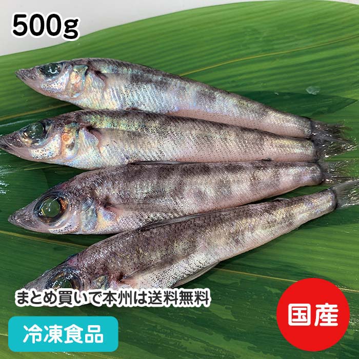 メヒカリ (加熱用) 500g 21979(冷凍食品 業務用 おかず お弁当 三重 尾鷲 処理済 天麩羅 唐揚 南蛮漬 あんかけ)