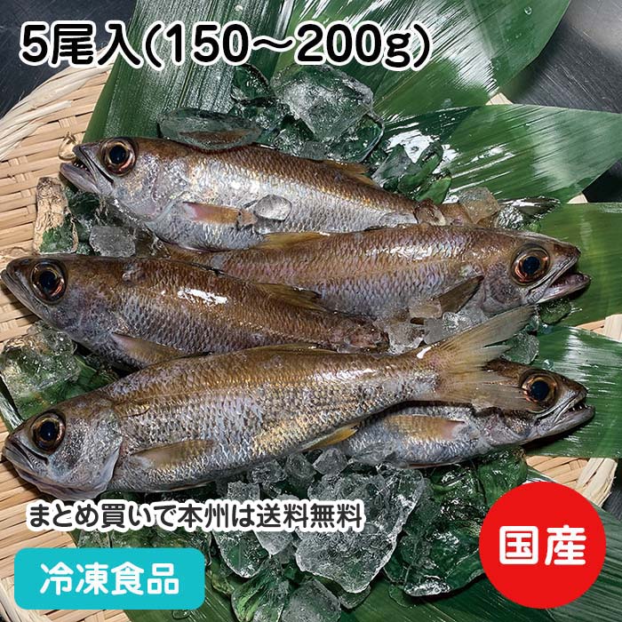 加熱用 クロムツ (小) 5尾入(150-200g) 22052(冷凍食品 業務用 おかず お弁当 三重 尾鷲 処理済 塩焼)