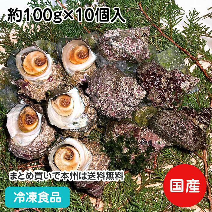 サザエ 約100g×10個入 23054(冷凍食品 業務用 おかず ...