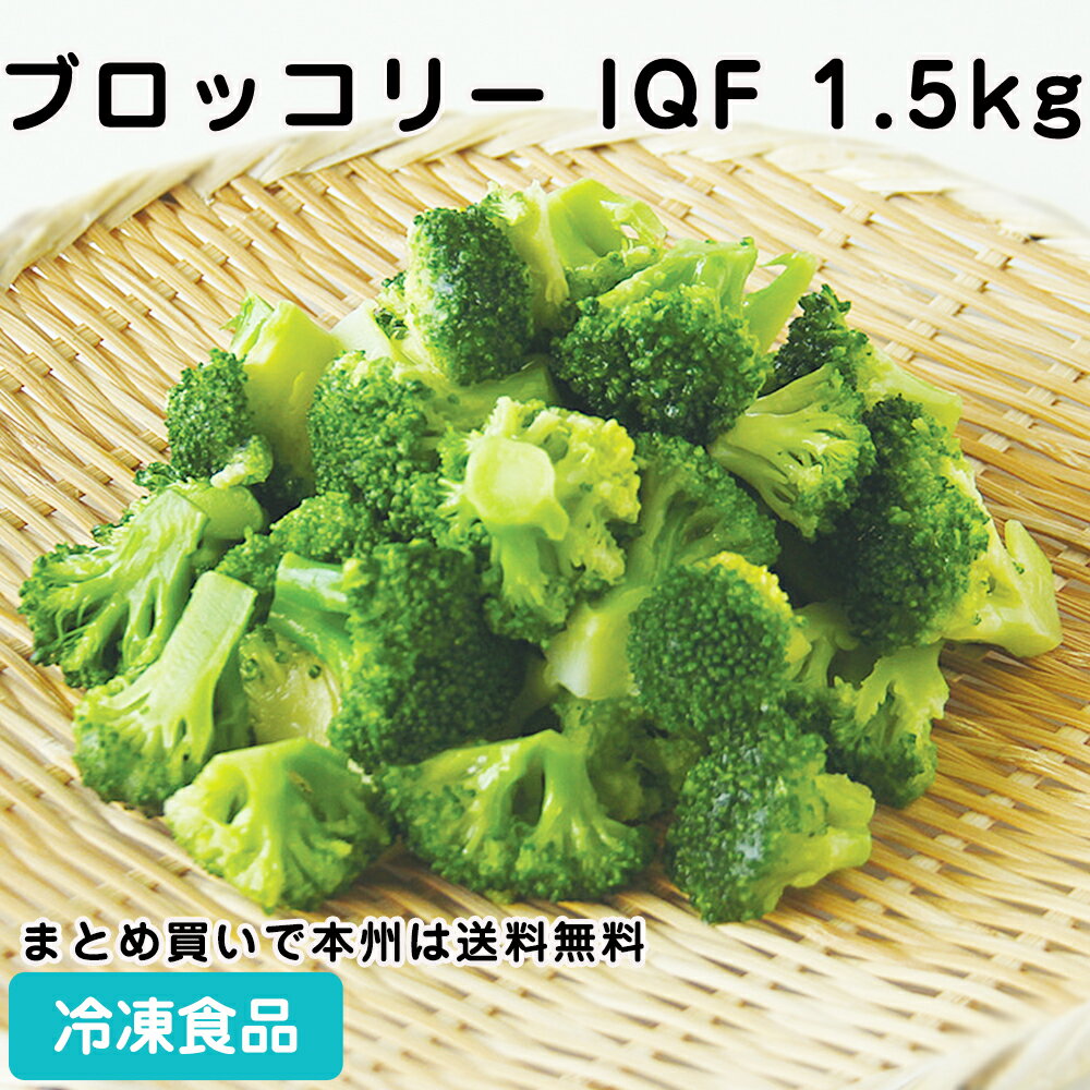 冷凍野菜 ブロッコリー IQF 1.5kg(約120個入) 23310(冷凍食品 業務用 おかず お弁当 冷凍 交洋 新鮮 野菜 湯通し 急速凍結 カット済 時短 便利 大量調理 バラ凍結 サラダ)