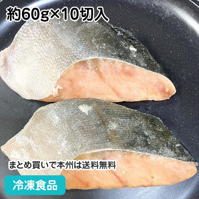 【10%OFF セール】マス骨なし切身 約60g×10切入 23827(冷凍食品 業務用 おかず お弁当 冷凍 魚 鱒 骨無..