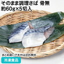 そのまま調理さば(骨無)約60g×5切入 24019(冷凍食品 業務用 おかず 総菜 お弁当 鯖 切身 切り身 骨無 骨抜 骨取 骨なし)