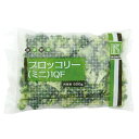 冷凍野菜 ブロッコリー(ミニ) IQF 500g(約75-100個入) 18066(冷凍食品 業務用 おかず IQF バラ凍結 簡単 時短 ブロッコリー お弁当 野菜) 2