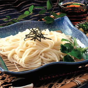 稲庭風うどん (割子) 100g×10食入 22304(麺 冷凍うどん 小分 少量 細麺)